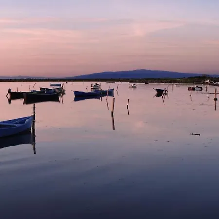 アパート Casa Agrifoglio Terralba