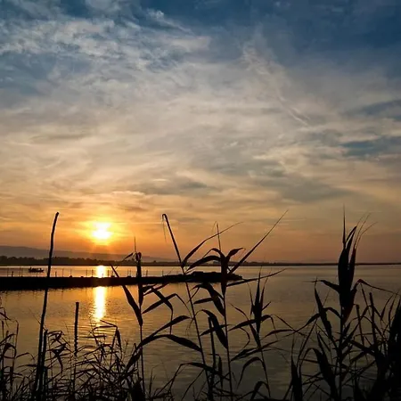 Casa Agrifoglio 아파트 테랄바